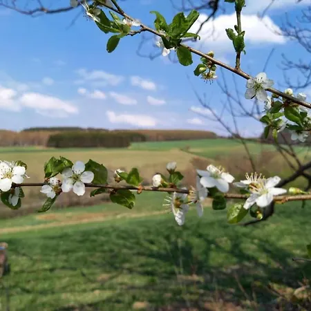Σπίτι διακοπών Cozy Escape In Walthersdorf